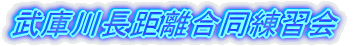 武庫川長距離合同練習会